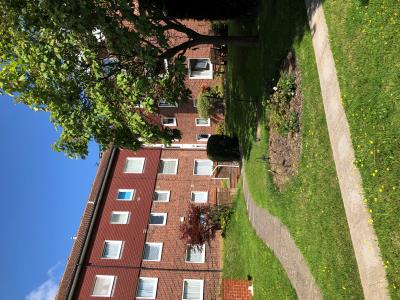 Communal Garden