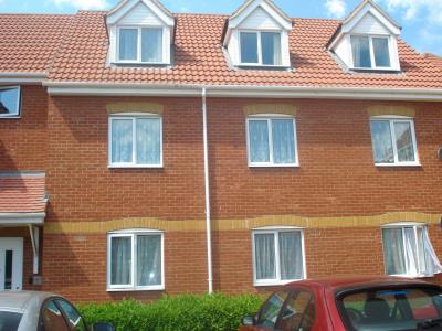 Example of Front view