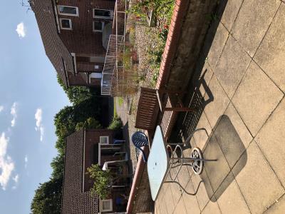 Communal Garden 2