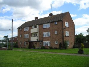 Flats at Chestnut Avenue