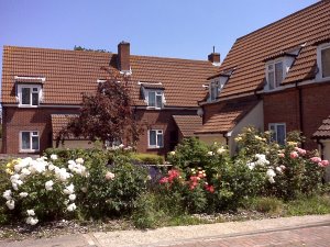 View of Washington Close flats