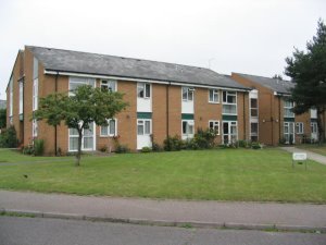 Front view